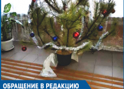 «В собесе елка из документов - вот и наша безопасность», - пожаловался житель Ростовской области