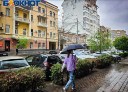 В Ростове 13 мая потеплеет до +24 градусов и пройдут дожди