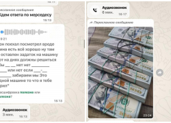 В Ростовской области мошенник обманул знакомую при покупке автомобиля из-за границы