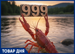 ТОВАР ДНЯ: Рак «Волга» Средний — 999 рублей за килограмм