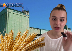 Донские фермеры не получили миллионы за десятки тонн пшеницы