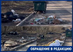 Бомжи и собаки растаскивают мусорную свалку возле Можайской рощи 