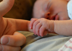 Жители Ростовской области провалили планы правительства Медведева по росту рождаемости