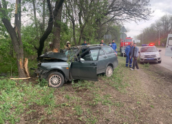 В Ростовской области водитель легковушки погиб после удара о дерево