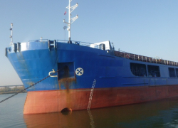 В порту Ростова на турецком судне обнаружены запрещенные книги Гитлера