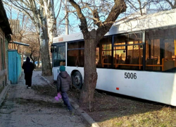 Два человека пострадали при столкновении автобуса с деревом в Ростове