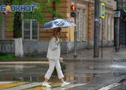 Дождь и ветер до 11 метров в секунду накроют Ростов