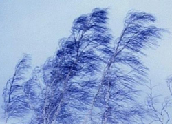 На Ростов обрушится ураганный ветер 2 и 3 января