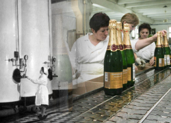 Календарь: 86 лет со дня выпуска первой бутылки игристого Ростовского завода шампанских вин
