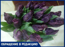Наживаются на детях: ростовчанка пожаловалась на алчных продавцов цветов