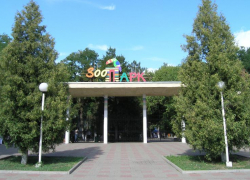 Ростовчанам предлагают посетить зоопарк, обменяв килограмм пластика на билет