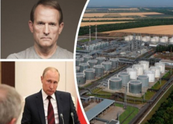 Владелец нефтеперерабатывающего завода под Ростовом оказался кумом Владимира Путина
