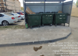 После публикации в Пролетарском районе ликвидировали зловонную свалку возле ЖК