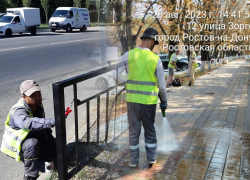 В Ростове проводят рейды чистоты к 1 сентября и Дню города 