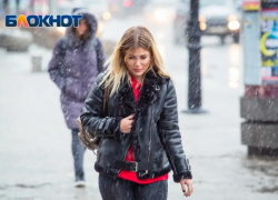 Аномально теплая зима ждет ростовчан в этом году