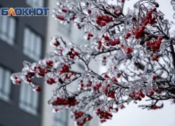 Мороз до -31 градуса придет в Ростовскую область в феврале