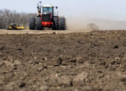 О состоянии озимых рассказали в донском Минсельхозе