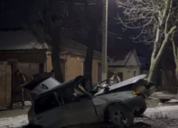 В Батайске машина протаранила дерево, водитель и пассажирка чудом выжили