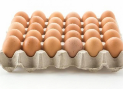 В Ростовской области подешевели куриные яйца на 26%