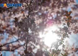 Что нельзя делать в день весеннего равноденствия 
