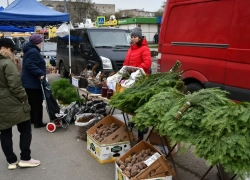 Предновогодние ярмарки пройдут в пяти городах Ростовской области 