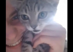 Угрозы убить семью и свастика — так ответил парень в Ростове зоозащитникам на вопрос о пропаже собаки