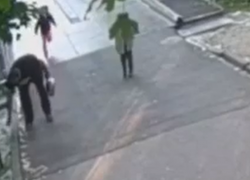 В ростовском зоопарке посетитель поджёг тополиный пух у вольера с животными