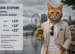 Дождь может накрыть Ростов в дневное время