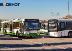 Автобусов на дорогах Ростова стало меньше после поднятия стоимости проезда 