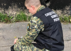 В Ростовской области ранее судимый мужчина убил родственников своей сожительницы 