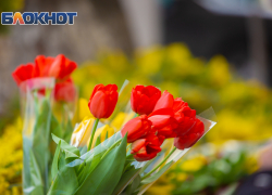 В Ростове-на-Дону 12 марта будет солнечно и тепло