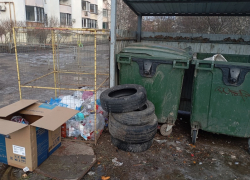 В Ростовской области продолжают борьбу с «серыми» возчиками