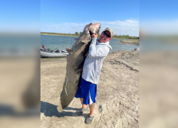 Поедал гусей: рыбаки поймали огромного сома в Ростовской области