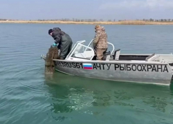 Из браконьерских ловушек за сутки освободили 9 тысяч раков в Ростовской области