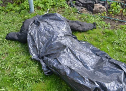 Тело пропавшего бывшего сотрудника МЧС обнаружили у ручья под Ростовом