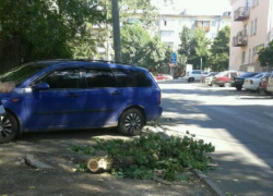 Опасно повисшую на проводах ветку на улице Ленина убрали после публикации "Блокнота"
