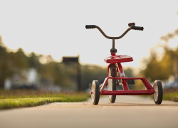 В Ростовской области маленькая девочка выстрелила в сестру из винтовки