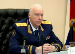 Следком возбудил уголовное дело после нападения собаки на ребенка в Ростовской области