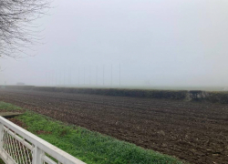 Конников оставили зимовать на ипподроме Ростова в режиме ожидания, несмотря на представление прокуратуры 