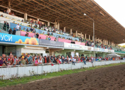 Прокуратура Ростовской области выявила нарушения при отказе признать ростовский ипподром ОКН