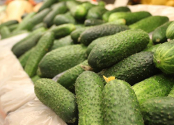 ЦБ РФ объяснил, почему в Ростовской области в мае подорожали продукты