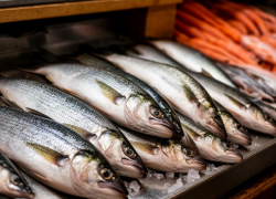 Донской предприниматель искусственно увеличил количество рыбы в семь раз 