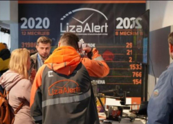 В Ростовской области поисковой отряд «Лиза Алерт» при поддержке билайн нашел 530 человек