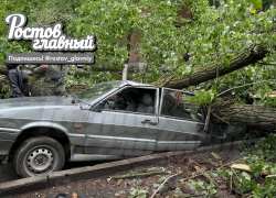В Ростове дерево рухнуло на припаркованный ВАЗ-2115