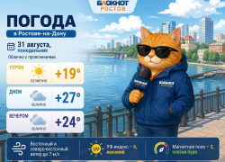 В Ростове в последний день лета потеплеет до +27 градусов