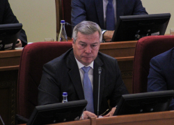 Губернатор Голубев наорал на главного ветинспектора Ростовской области