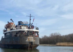 Завершено расследование загрязнения Дона в Семикаракорском районе 