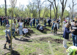 В День древонасаждения в Ростове высадили шесть тысяч деревьев и кустарников