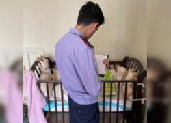 Соседи и няня рассказали подробности о родителях, убивших восьмимесячную дочку в Ростове