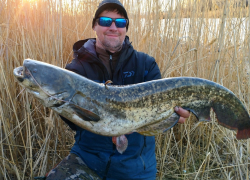 Донской рыбак поймал крупного хищника весом 6 килограмм